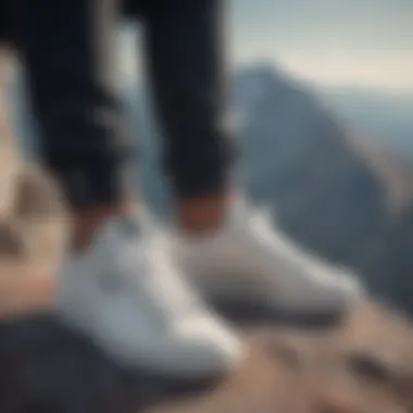 Sleek and Stylish Tom's White Sneakers on Mountain Peak