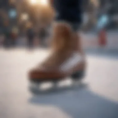 Diverse Styles of Snow Skating Footwear A variety of snow skating shoe styles and designs laid out