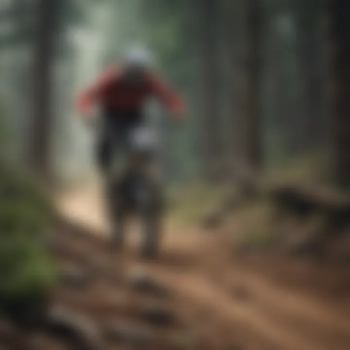 Speed and Nature Converge in Downhill Biking