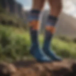 Stance Socks displayed against a backdrop of Hawaiian landscapes.