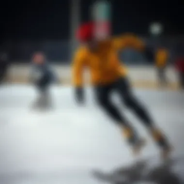The Art and Science of Roll Skating Summary