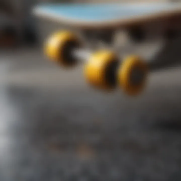 Close-up view of high-quality skateboard deck materials