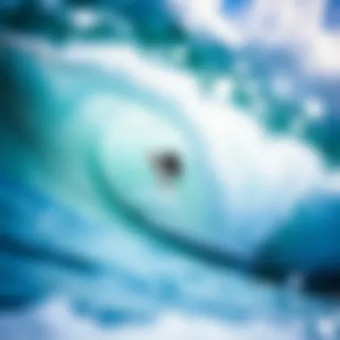 The Comprehensive Guide to Buying a Used Surfboard Introduction