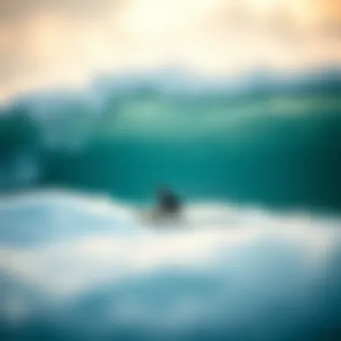 Notable The Comprehensive Guide to Buying a Used Surfboard Notable The Comprehensive Guide to Buying a Used Surfboard