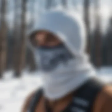 Stylish neck gaiter with hood in snowy landscape Stylish neck gaiter with hood in snowy landscape