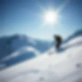 The Comprehensive Guide to Snowboard Wax Kits with Iron Introduction