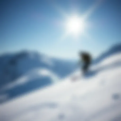 The Comprehensive Guide to Snowboard Wax Kits with Iron Introduction