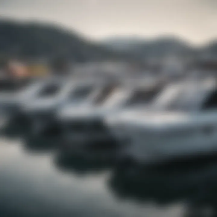 A tranquil marina scene with multiple wake boats docked, reflecting varying price points.