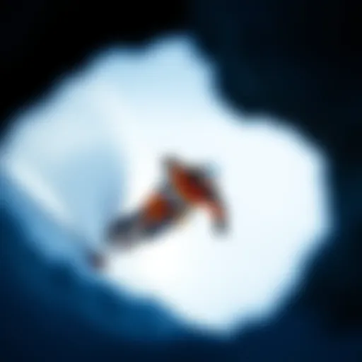 The Influence of Lib Tech Dynamo in Extreme Sports Introduction