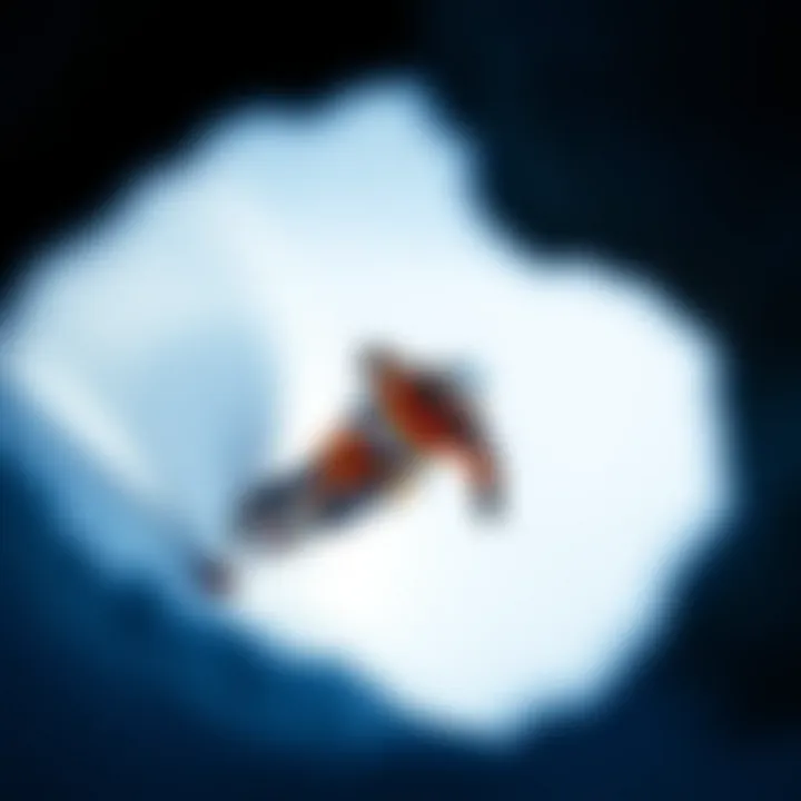The Influence of Lib Tech Dynamo in Extreme Sports Introduction