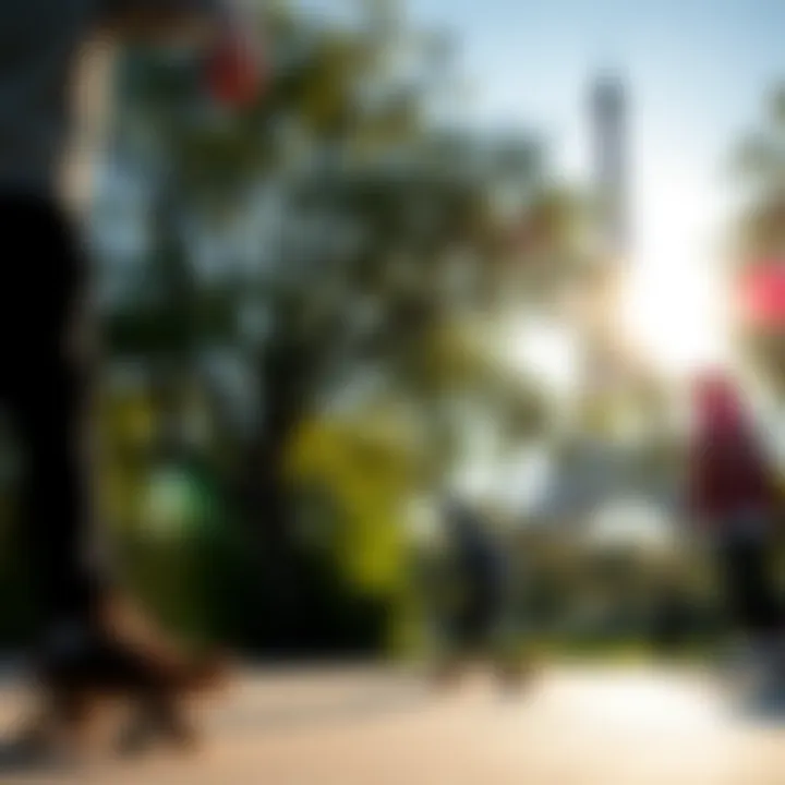 A group of skaters enjoying a sunny day in a Parisian park