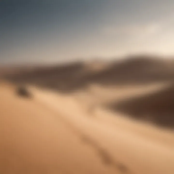 Panoramic view of a group of sandboarders conquering a series of challenging dunes