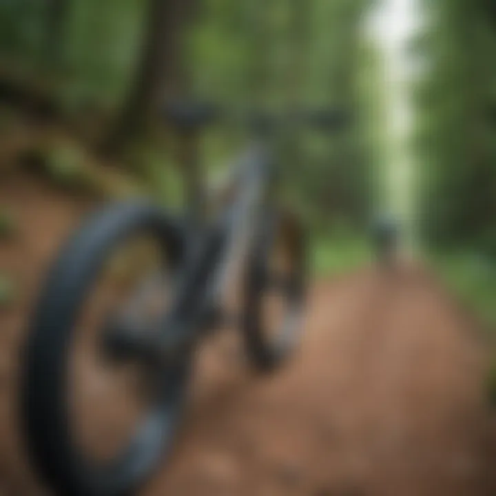 Sleek hardtail bike navigating through winding forest trails