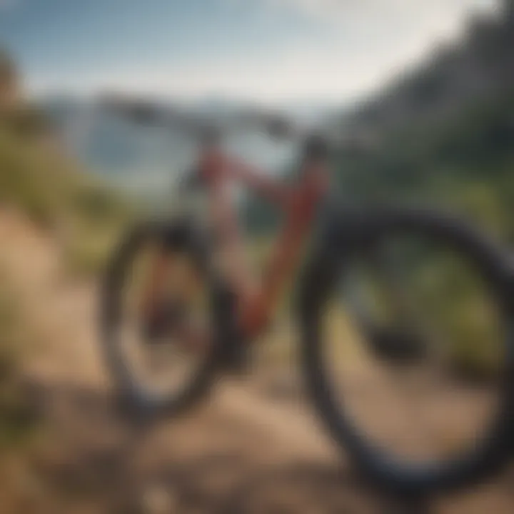 Dynamic view of a hardtail mountain bike on rugged terrain