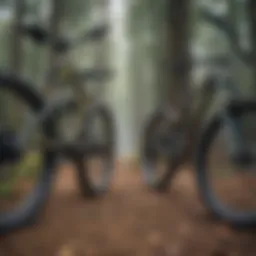 Comparison of trail and cross-country mountain bike geometries