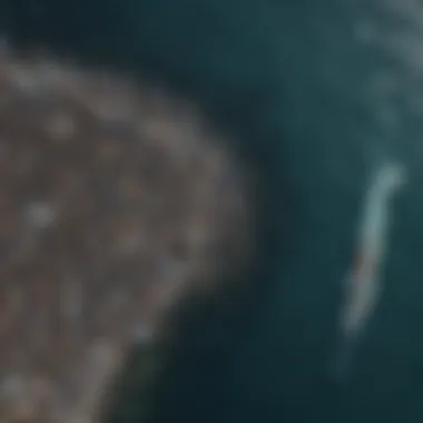 Aerial view of the massive garbage patch in the ocean