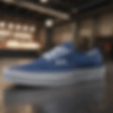 Velocity Elegance: Vans Authentic Dark Blue in Motion Abstract depiction of the Vans Authentic Dark Blue sneaker in a daring motion blur
