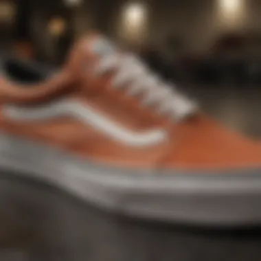 Close-up of Vans skate shoes showcasing unique designs and craftsmanship.