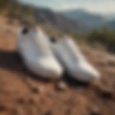 White low top Vans covered in dirt on mountain trail